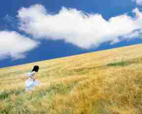 高​效​SEO框﻿架‌方‌案‍